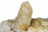 Sparkling Cactus Quartz Crystal Cluster - South Africa #303480-1